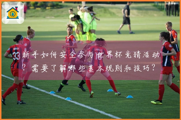 新手如何安全参与世界杯竞猜活动？需要了解哪些基本规则和技巧？