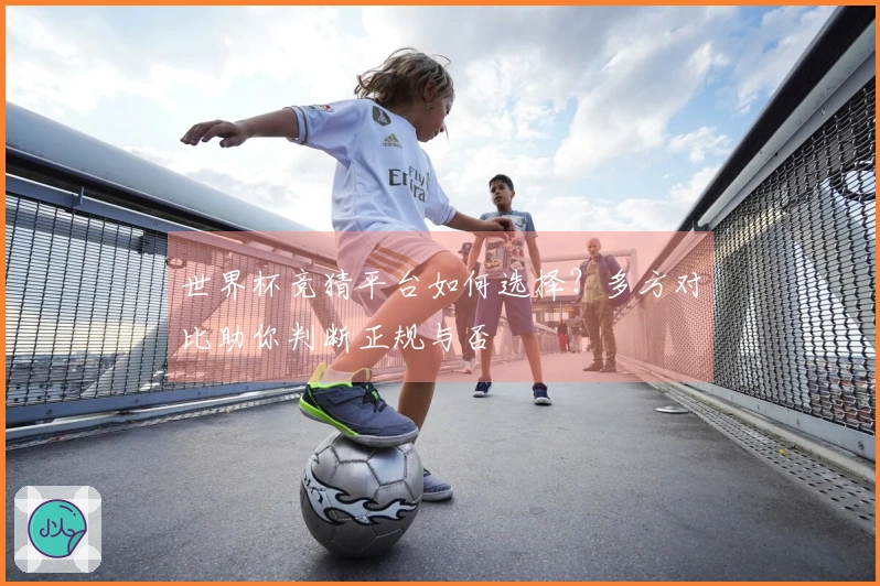 世界杯竞猜平台如何选择？多方对比助你判断正规与否