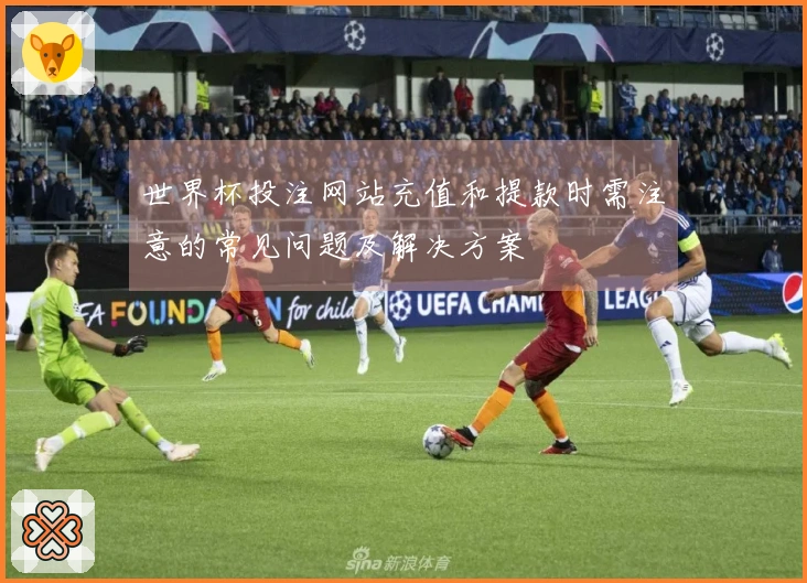 世界杯投注网站充值和提款时需注意的常见问题及解决方案