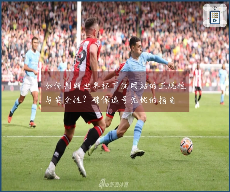 如何判断世界杯下注网站的正规性与安全性？确保选号无忧的指南