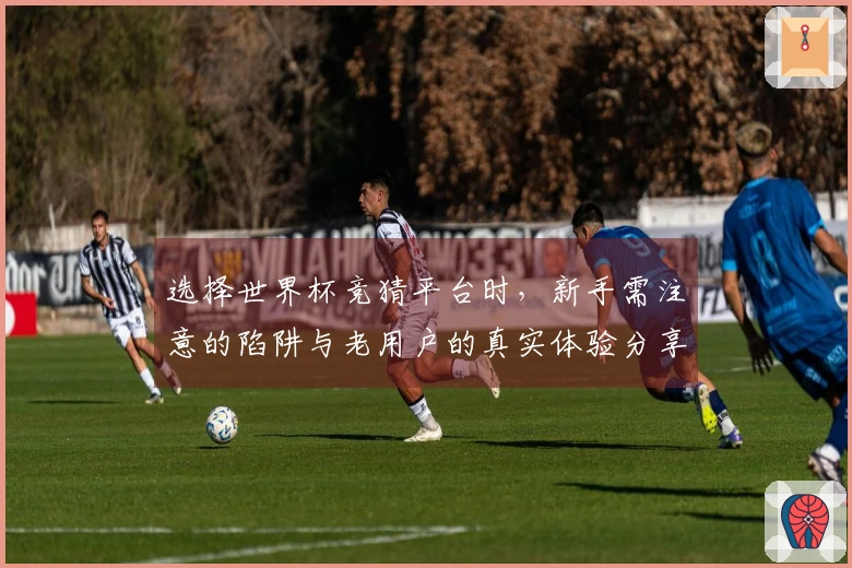 选择世界杯竞猜平台时，新手需注意的陷阱与老用户的真实体验分享