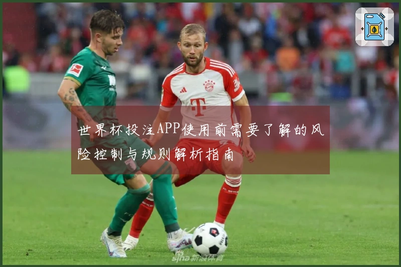 世界杯投注APP使用前需要了解的风险控制与规则解析指南