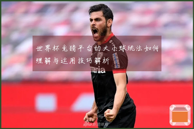 世界杯竞猜平台的大小球玩法如何理解与运用技巧解析