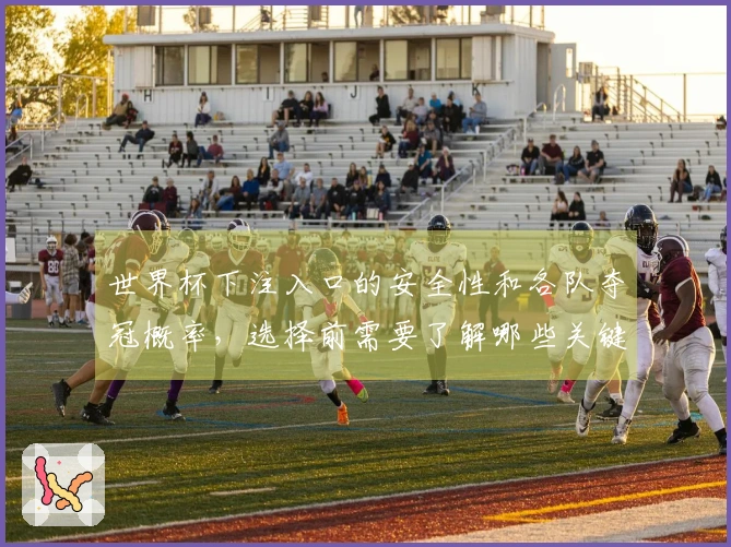 世界杯下注入口的安全性和各队夺冠概率，选择前需要了解哪些关键因素