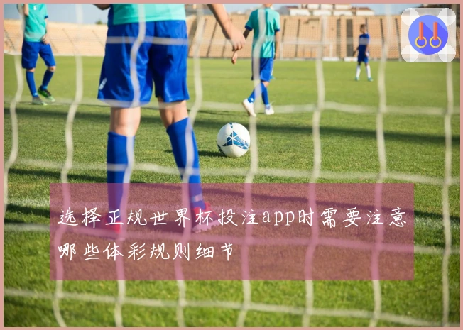 选择正规世界杯投注app时需要注意哪些体彩规则细节
