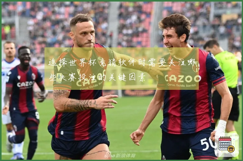 选择世界杯竞猜软件时需要关注哪些决赛投注的关键因素
