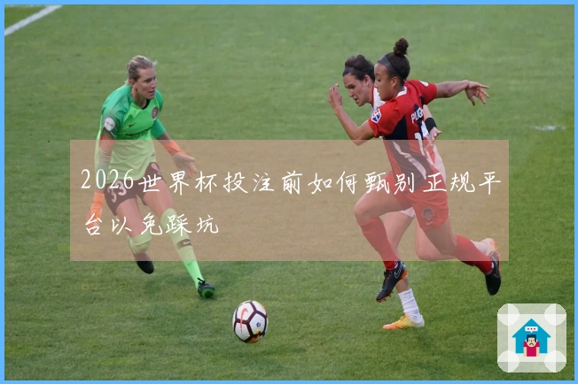 2026世界杯投注前如何甄别正规平台以免踩坑