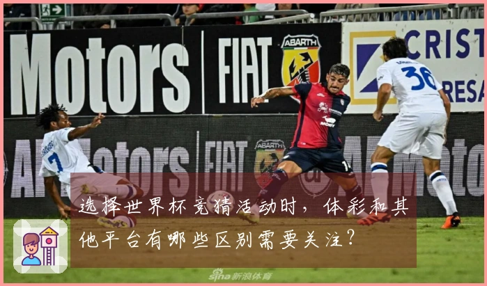 选择世界杯竞猜活动时，体彩和其他平台有哪些区别需要关注？