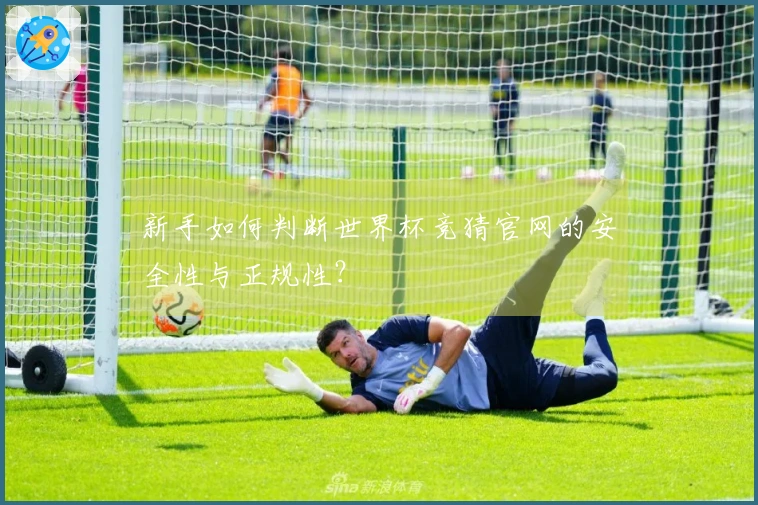 新手如何判断世界杯竞猜官网的安全性与正规性？