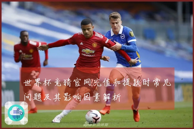 世界杯竞猜官网充值和提款时常见问题及其影响因素解析