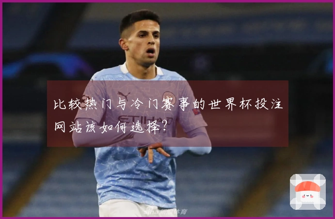 比较热门与冷门赛事的世界杯投注网站该如何选择？