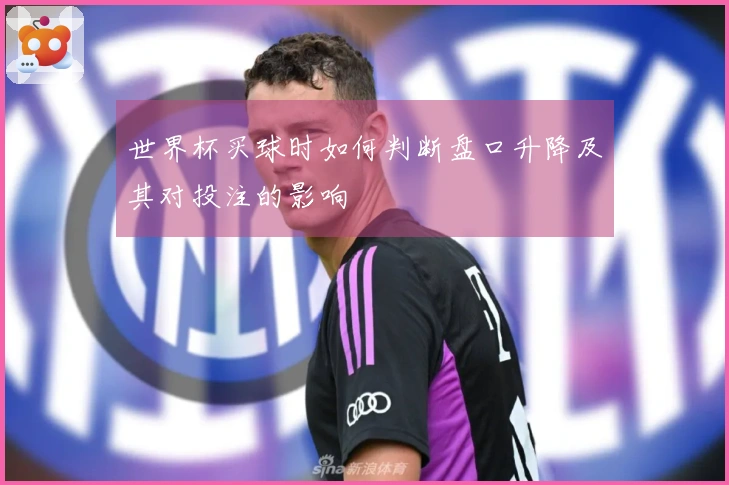 世界杯买球时如何判断盘口升降及其对投注的影响