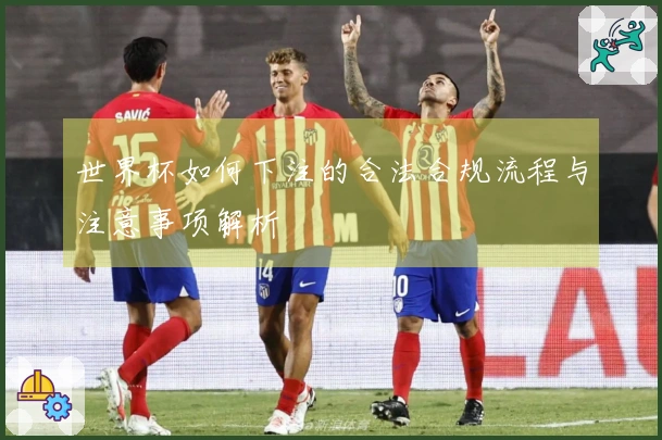 世界杯如何下注的合法合规流程与注意事项解析