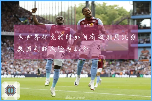买世界杯竞猜时如何有效利用比分数据判断风险与机会