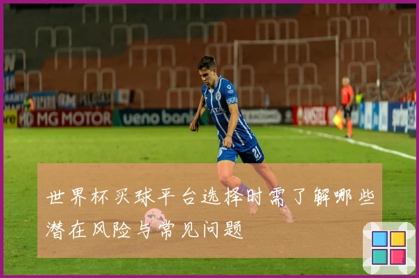 世界杯买球平台选择时需了解哪些潜在风险与常见问题