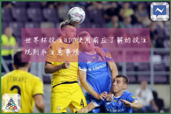 世界杯投注app使用前应了解的投注规则和注意事项