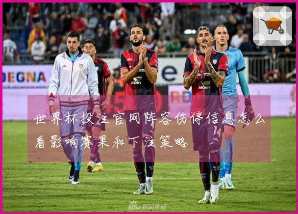 世界杯投注官网阵容伤停信息怎么看影响赛果和下注策略