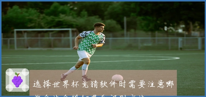 选择世界杯竞猜软件时需要注意哪些合法合规细节和识别方法