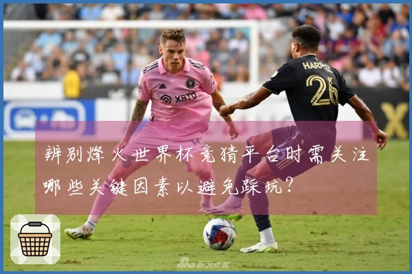 辨别烽火世界杯竞猜平台时需关注哪些关键因素以避免踩坑？