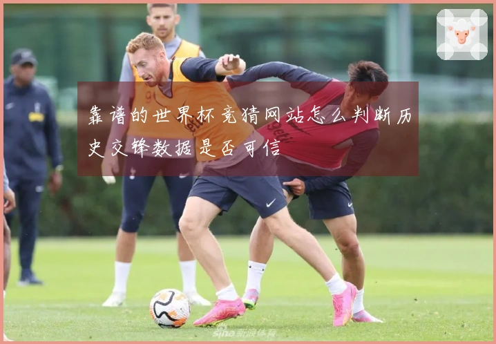 靠谱的世界杯竞猜网站怎么判断历史交锋数据是否可信