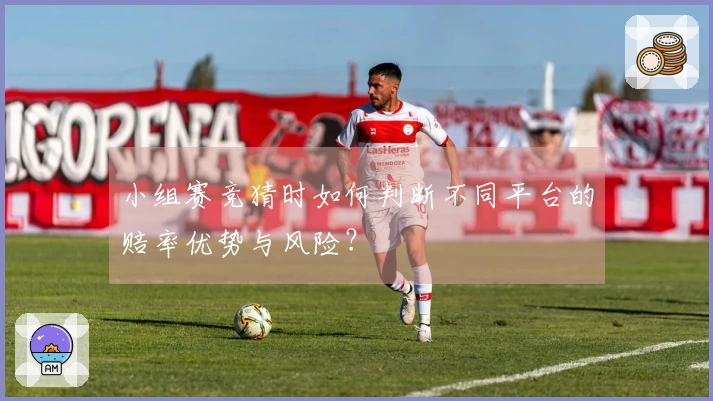 小组赛竞猜时如何判断不同平台的赔率优势与风险？